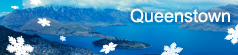 Queenstown Travel Guide